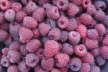 Himbeere