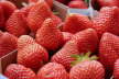 Erdbeere